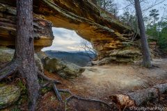 A Portal Through Time
