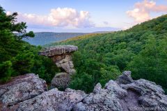 Made in USA