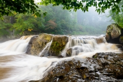 Misty Creek