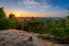 Morning Colors