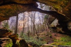 Secrets of the Gorge