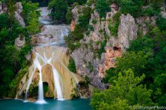 The Chronicles of Nature
