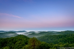 The Fog