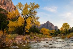 The Watchman